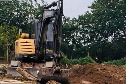 Xử lý nghiêm hành vi san lấp đất ven sông Hồng
