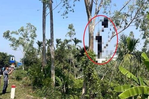 Hải Dương: Cãi nhau với vợ, người đàn ông tạm biệt bạn bè rồi treo cổ lên cây bạch đàn