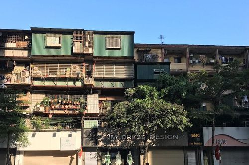 Xôn xao... nắng