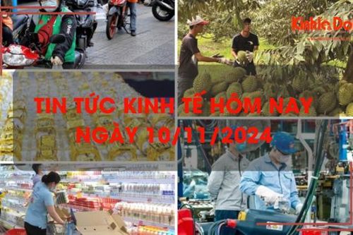 Tin tức kinh tế ngày 10/11: giá sầu riêng tăng vọt, nguồn cung khan hiếm