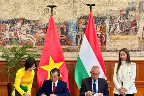 Thúc đẩy hợp tác giáo dục và tăng cường dạy học tiếng Việt tại Hungary
