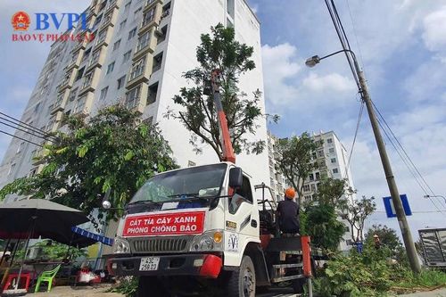 Liên danh nhà thầu Hân Lộc, Thiên Lộc Phát trúng nhiều gói thầu chăm sóc cây xanh trên địa bàn TP Đà Nẵng