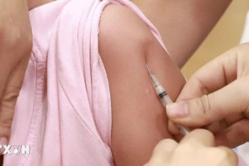 Nghiên cứu đưa vaccine phòng sốt xuất huyết vào chương trình tiêm chủng mở rộng