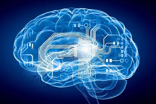 AI phát triển sẽ giúp hoàn thiện bản đồ bộ não người