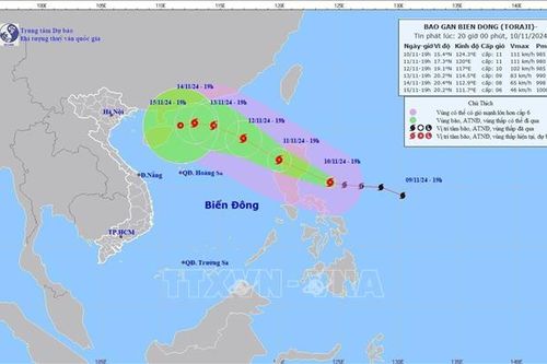 Theo dõi chặt chẽ diễn biến bão Toraji, chủ động ứng phó