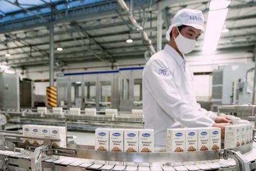 Ánh sáng le lói trong bức tranh ảm đạm của ngành sữa