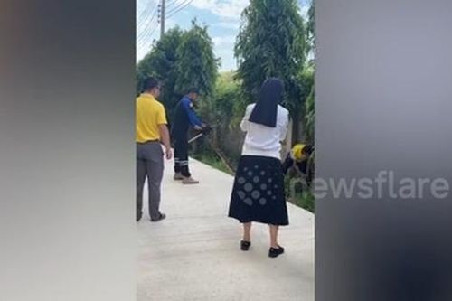 Phát hiện trăn khổng lồ trong sân trường học