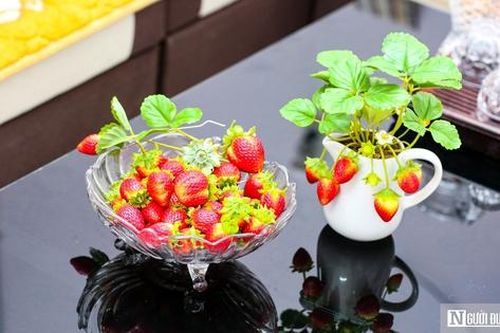 Đất sét nở hoa trên đôi tay người phụ nữ khuyết tật