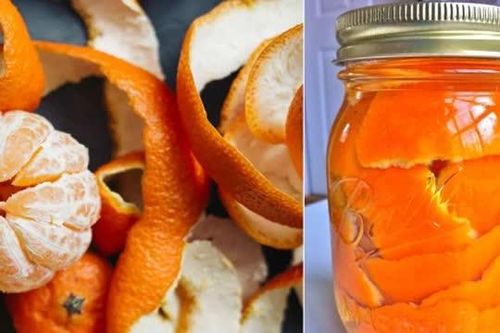 Vỏ quýt khô ngâm cùng giấm trắng giải quyết được vô vàn rắc rối trong cuộc sống, mẹo hay nên thử