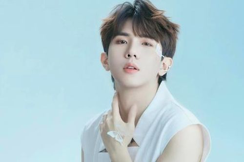 Học trò Đàm Vĩnh Hưng từng tạm dừng ca hát, phải làm livestream mưu sinh