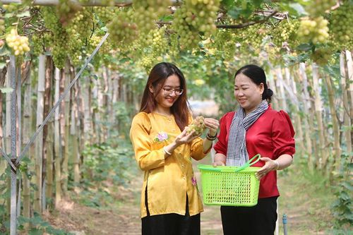 Tạo đòn bẩy để du lịch vùng biên bứt phá