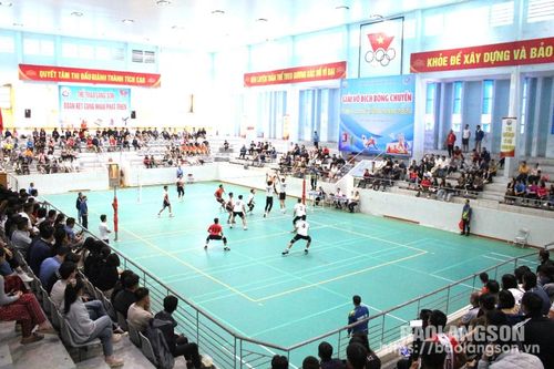 Bế mạc giải vô địch bóng chuyền tỉnh năm 2024