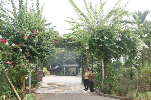 Ấn tượng những cổng đẹp - rào xanh - vườn rau tốt ở Bảo Yên
