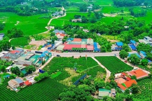 Thái Nguyên: Đẩy nhanh tiến độ giải ngân nguồn vốn các Chương trình mục tiêu quốc gia