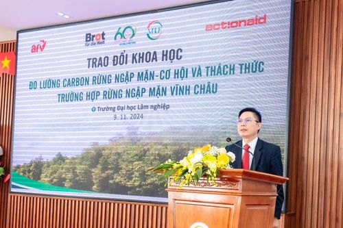 Giải pháp đo lường carbon rừng ngập mặn tạo cơ hội cho phát triển kinh tế xanh