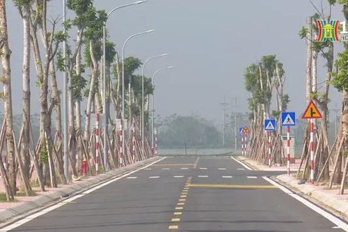 Đất đấu giá Ứng Hòa, thửa cao nhất 71 triệu đồng/1m²