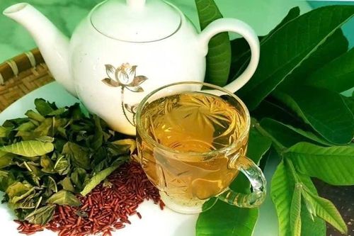 Lá ổi trị được bệnh gì?