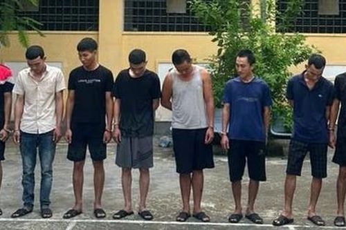 Hành trình truy bắt nhóm trộm xe tinh vi