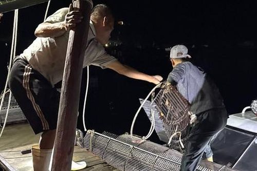 Khai thác thủy sản trái phép, nhiều chủ tàu cá bị xử phạt