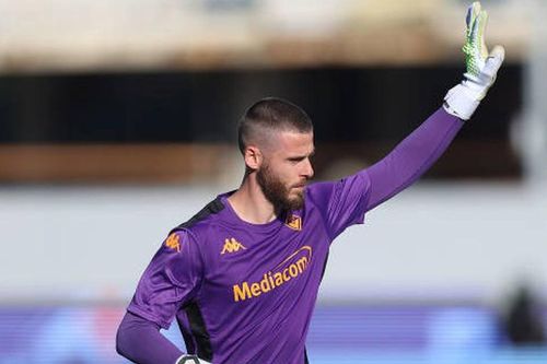 Cựu thủ môn nổi tiếng của MU kiến tạo gây sốt ở Serie A, giúp đội nhà bay cao
