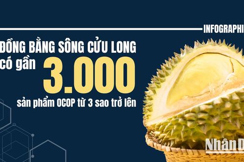 Đồng bằng sông Cửu Long có gần 3.000 sản phẩm OCOP