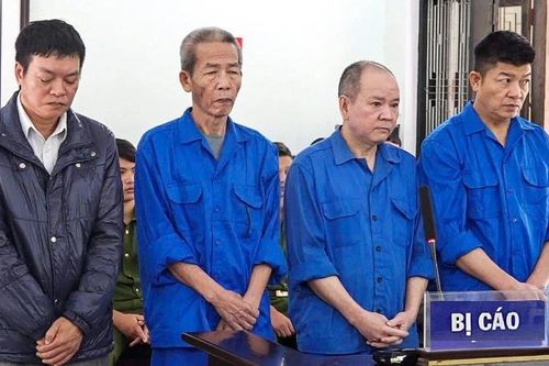 Nguyên 'bộ sậu' Công ty 878 hầu tòa