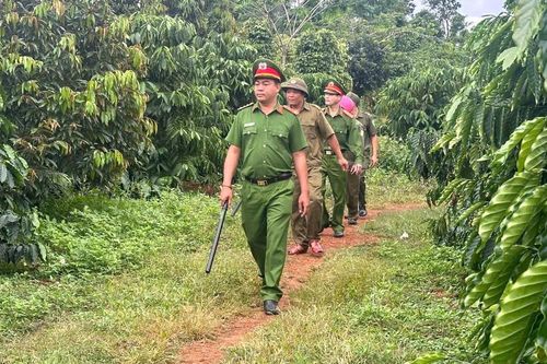 Tuần tra phòng, chống tội phạm và bảo vệ nông sản