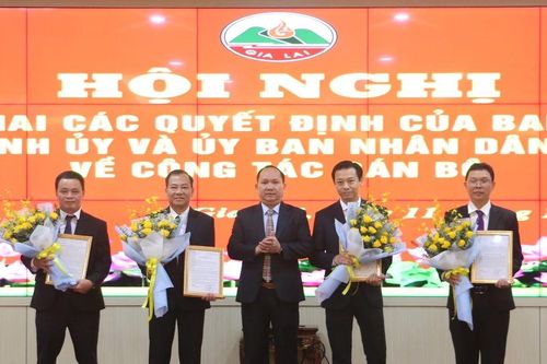 Gia Lai: Điều động, bổ nhiệm nhiều lãnh đạo sở, ngành