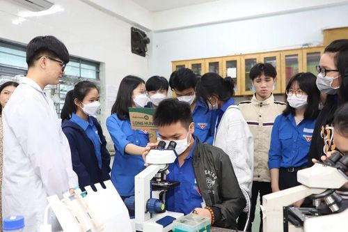 Ngành khoa học cơ bản: Không để 'xóa sổ' mã ngành