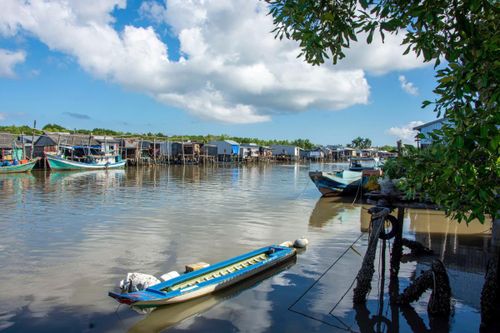 Dòng đời nơi đất mũi