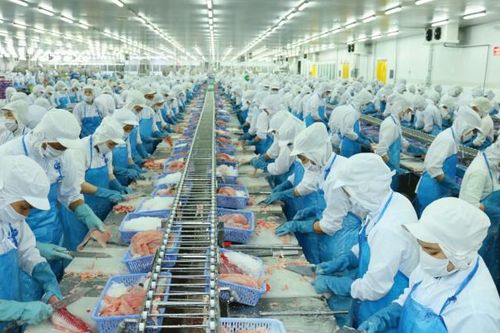 Vĩnh Hoàn (VHC) lãi 9 tháng đi ngang, tạm ứng cổ tức gần 450 tỷ đồng