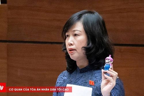 Đề xuất cấm thuốc lá điện tử và thuốc lá nung nóng bằng một Nghị quyết của Quốc hội