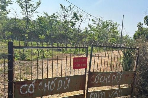 Một xã ở Đắk Lắk nhờ công an xử lý đàn chó dữ trong công trình sắp cưỡng chế