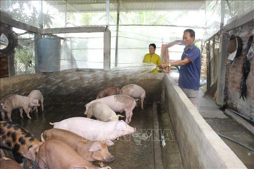 Phát huy nội lực của đồng bào dân tộc thiểu số trong phát triển kinh tế