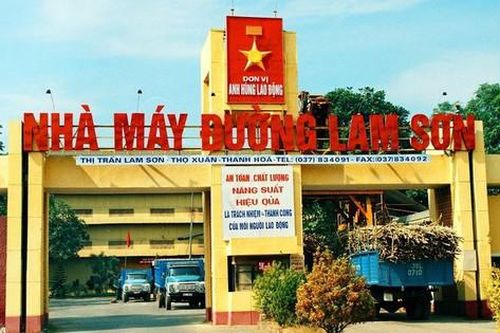 Mía đường Lam Sơn thu gần 500 tỷ đồng trong 3 tháng