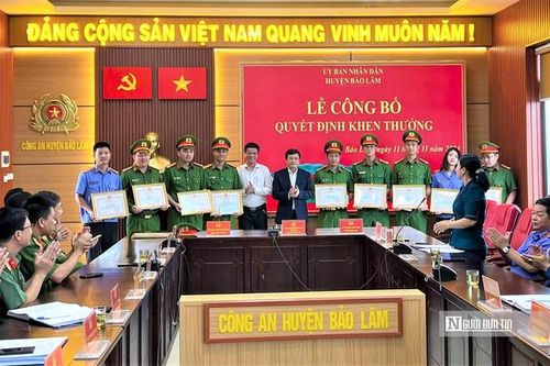 Lâm Đồng khen thưởng đột xuất lực lượng điều tra vụ án khai thác gỗ quý trái phép