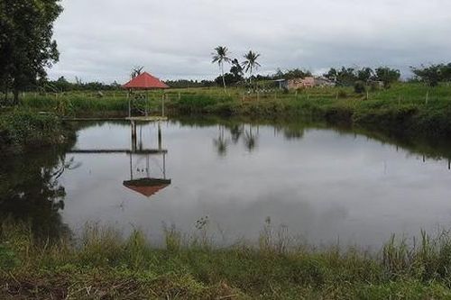 Phát hiện thi thể học sinh lớp 5 tại ao nước nhà dân