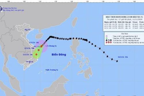 Bão số 7 sẽ suy yếu thành áp thấp nhiệt đới vào sáng mai (12/11)