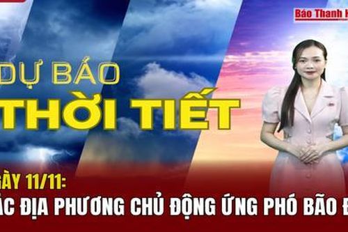 Dự báo thời tiết ngày 11/11 : Các địa phương chủ động ứng phó bão đôi