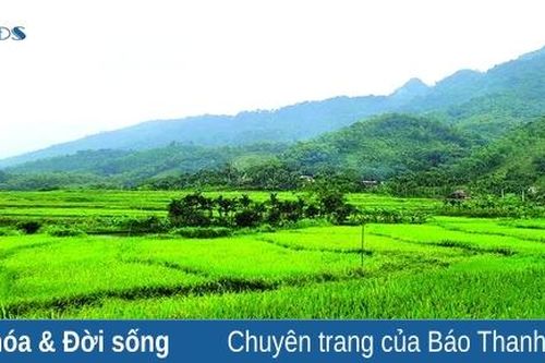 Ngày mới ở Cón