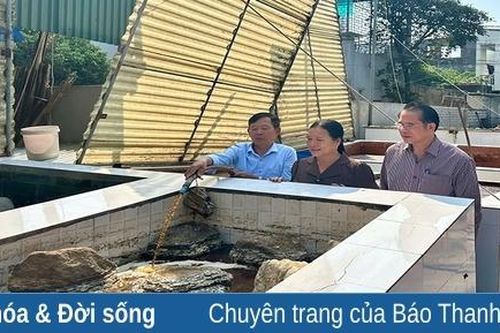 Còn sức khỏe là còn lao động!