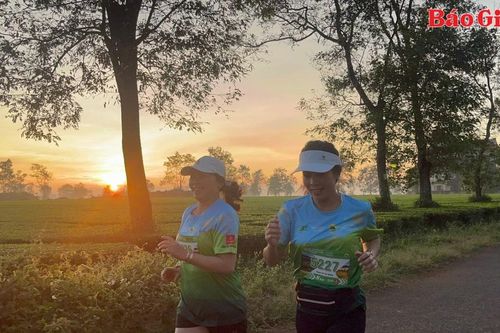 Ấn tượng cung đường chạy Half Marathon 'Đánh thức vùng quê Chư Păh-Hành trình kết nối núi và hoa'