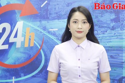 Gia Lai 24h: Ủy ban nhân dân tỉnh Gia Lai triển khai quyết định về điều động, bổ nhiệm 4 cán bộ