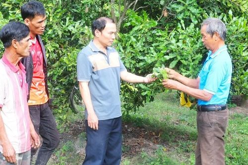 Kbang phát huy vai trò người có uy tín