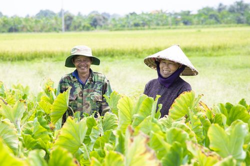 Sôi nổi nhiều mô hình trong các hợp tác xã
