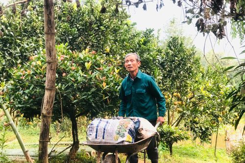 Người uy tín ở Nưa Hạ