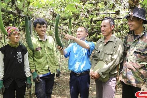 Hỗ trợ hội viên nông dân phát triển kinh tế