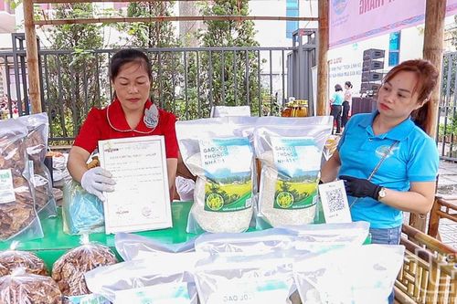 Mở hướng phát triển kinh tế từ gạo J02 ở Quy Kỳ