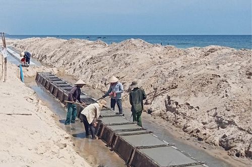 Những 'bức tường' chắn sóng