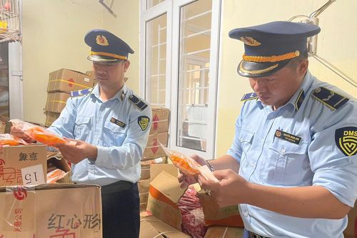Quản lý thị trường Quảng Trị: Phát hiện, thu giữ gần 2 tấn thực phẩm không rõ nguồn gốc
